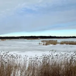 Hyljelahti Nature Reserve - Virolahti