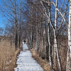 Hyljelahti Nature Reserve - Virolahti