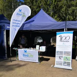 Virolahti Marina - Virolahti