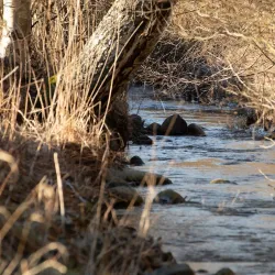 Keskuspuisto Park - Ylivieska