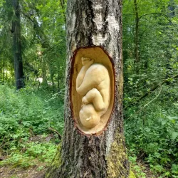 Keskuspuisto Park - Ylivieska