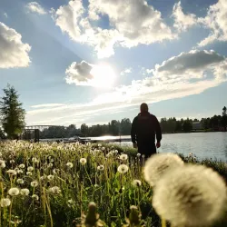 Oulujoki River - Ylivieska