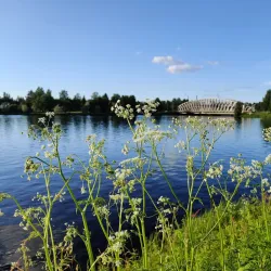 Oulujoki River - Ylivieska