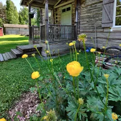 Ylivieska Museum - Ylivieska