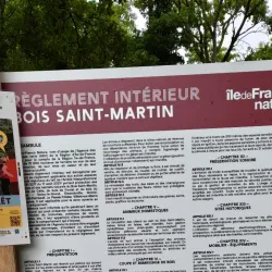 Bois de l'Île Saint-Martin - Acheres