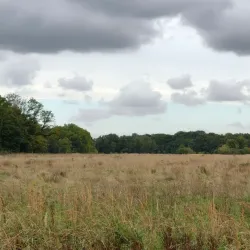 Bois de l'Île Saint-Martin - Acheres