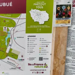 Bois de l'Île Saint-Martin - Acheres