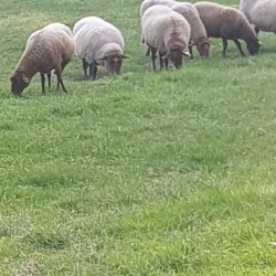 Maison du Parc Naturel Régional du Vexin Français - Acheres