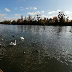 Parc de la Mairie - Acheres