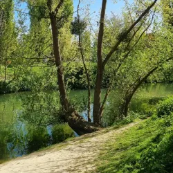 Seine River Walks - Acheres