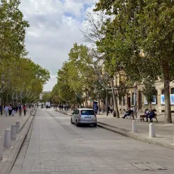 Cours Mirabeau - Aix-en-Provence