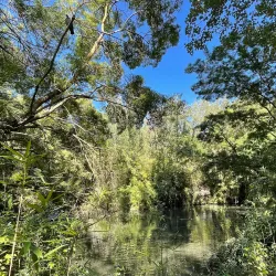 Jardin de la Torse - Aix-en-Provence