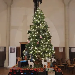 Church of Saint Martin - Albert