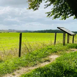 Lochnagar Crater - Albert