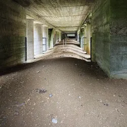 Trench of Bayonets - Albert