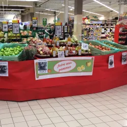 Albertville Market - Albertville