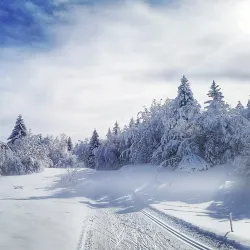 La Feclaz Ski Resort - Albertville