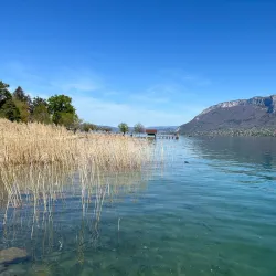 Les Bauges Regional Natural Park - Albertville