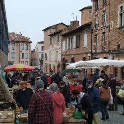 Albi Market - Albi