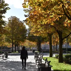 Jardin National - Albi