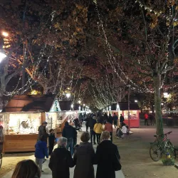 Jardin National - Albi