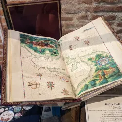 Musée Lapérouse - Albi