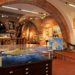 Musée Lapérouse - Albi