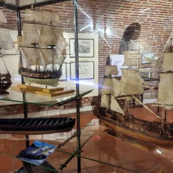 Musée Lapérouse - Albi