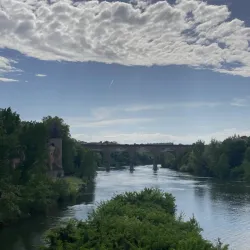 Old Town Albi - Albi