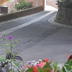 Pont Vieux (Old Bridge) - Albi