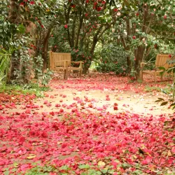 Jardin de la Fonderie - Alès
