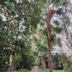 Jardin de la Fonderie - Alès