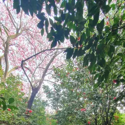 Jardin de la Fonderie - Alès