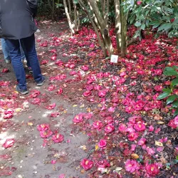 Jardin de la Fonderie - Alès
