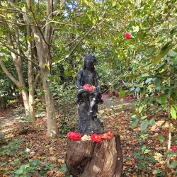 Jardin de la Fonderie - Alès