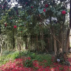 Jardin de la Fonderie - Alès