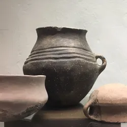 Musée du Colombier - Alès