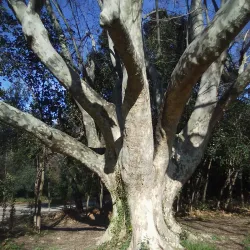 Parc François Billoux - Alès