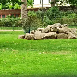 Le Parc des Promenades - Ambert