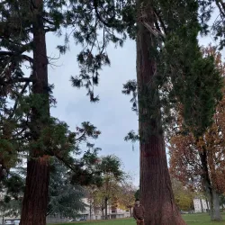 Le Parc des Promenades - Ambert