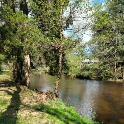 Parc Naturel Régional Livradois-Forez - Ambert