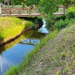 Place de la République - Ambert