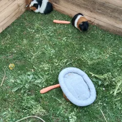 Crypte Archéologique d'Amiens - Amiens