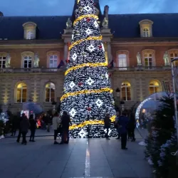 Hôtel de Ville (City Hall) - Amiens