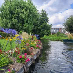 Les Hortillonnages (Floating Gardens) - Amiens