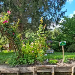 Les Hortillonnages (Floating Gardens) - Amiens