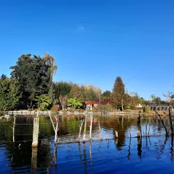 Les Hortillonnages (Floating Gardens) - Amiens