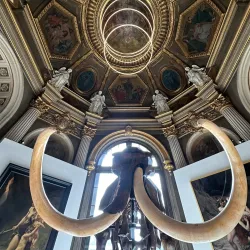 Musée de Picardie - Amiens