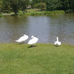 Parc Saint-Pierre - Amiens