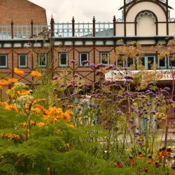 Place du Don - Amiens